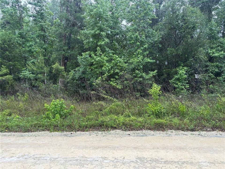 待售: $30,000 (0.46 acres)