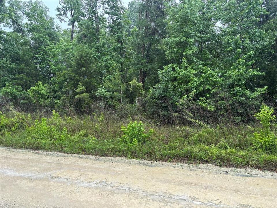 待售: $30,000 (0.46 acres)
