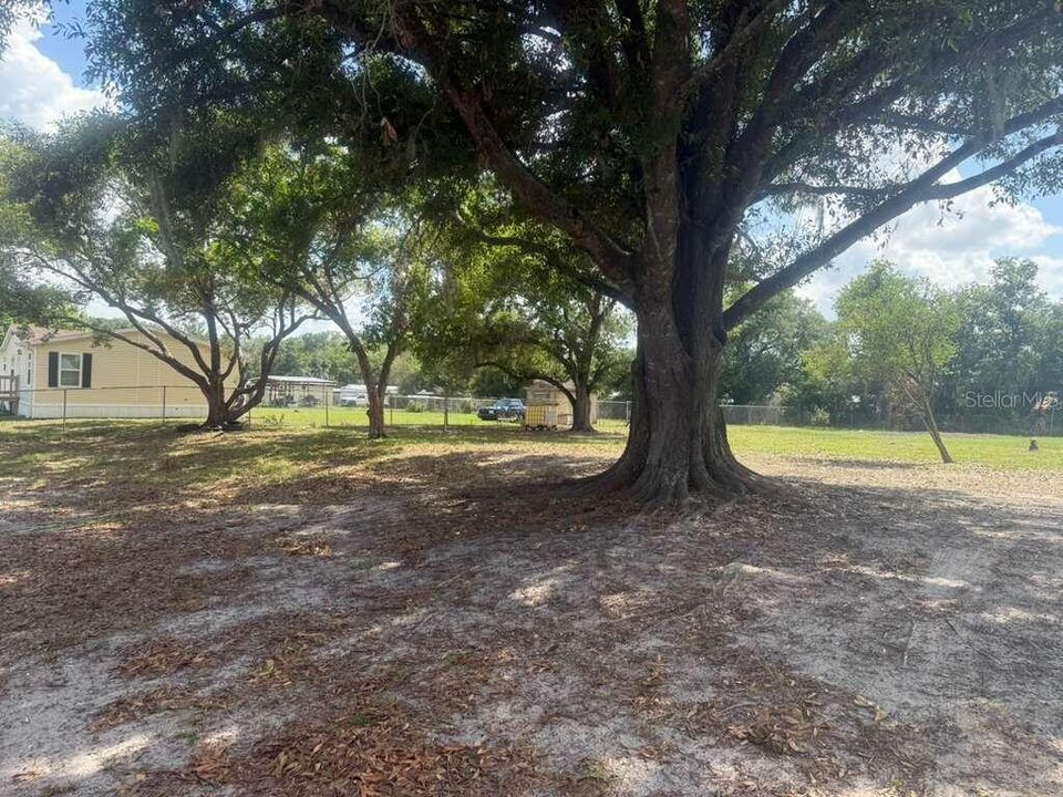 For Sale: $199,000 (3 beds, 2 baths, 980 Square Feet)