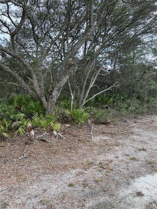 En Venta: $9,000 (0.12 acres)