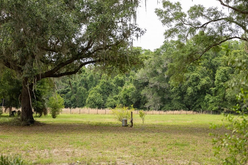 For Sale: $349,900 (12.25 acres)