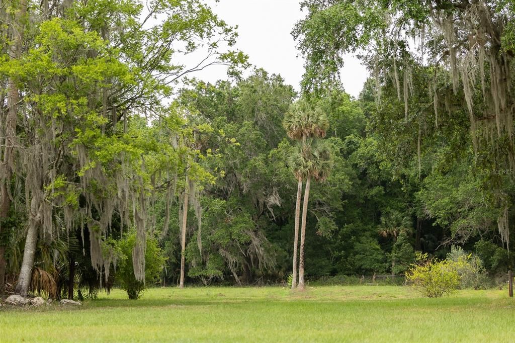 For Sale: $349,900 (12.25 acres)