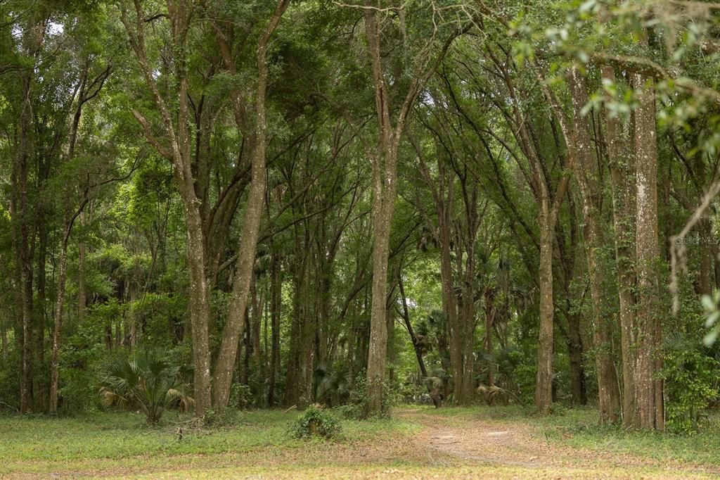 For Sale: $349,900 (12.25 acres)
