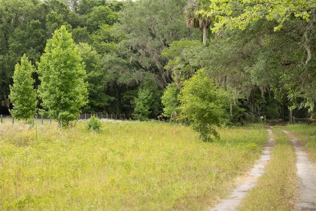 For Sale: $349,900 (12.25 acres)