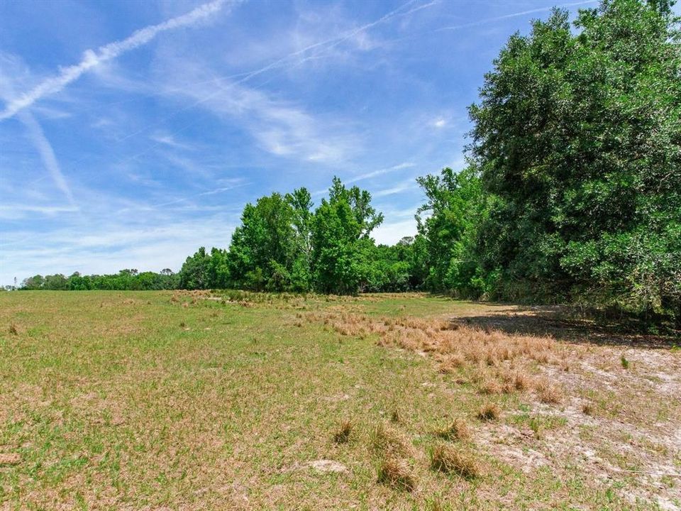 На продажу: $395,000 (19.50 acres)