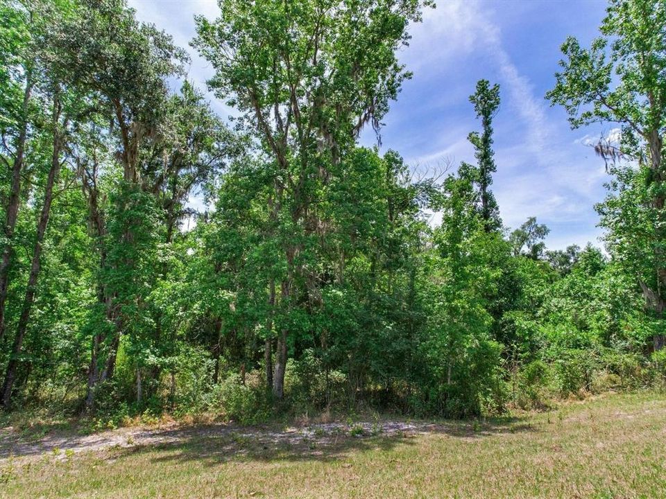 На продажу: $395,000 (19.50 acres)
