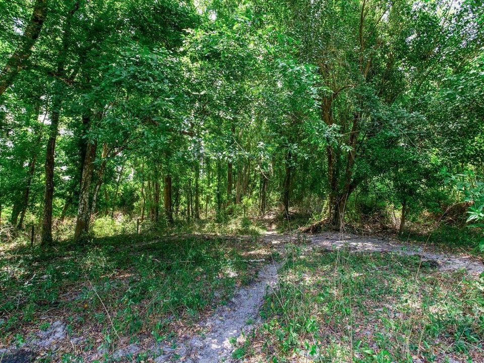 На продажу: $395,000 (19.50 acres)
