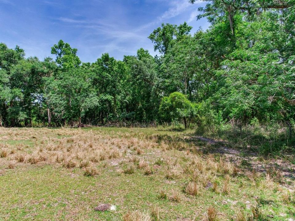 На продажу: $395,000 (19.50 acres)