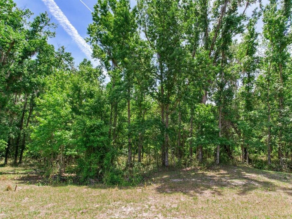 На продажу: $395,000 (19.50 acres)