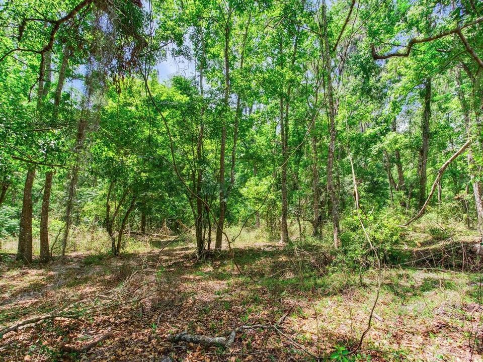 На продажу: $395,000 (19.50 acres)
