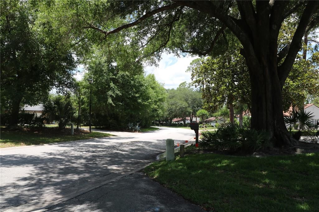 For Rent: $2,000 (3 beds, 2 baths, 1688 Square Feet)