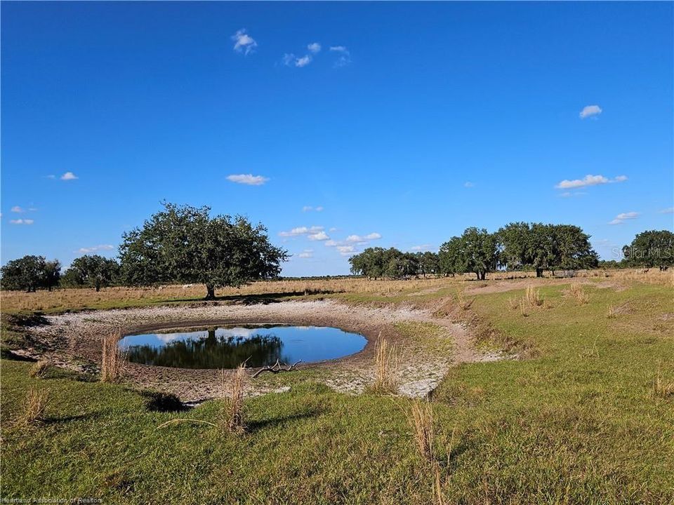 For Sale: $1,800,000 (109.47 acres)