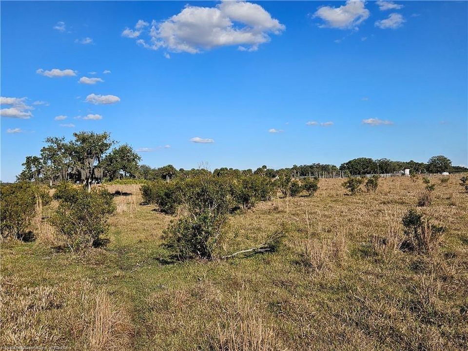 For Sale: $1,800,000 (109.47 acres)