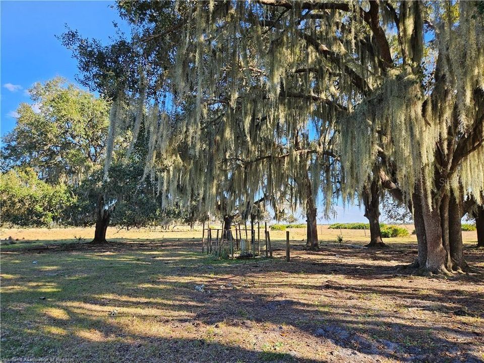 For Sale: $1,800,000 (109.47 acres)