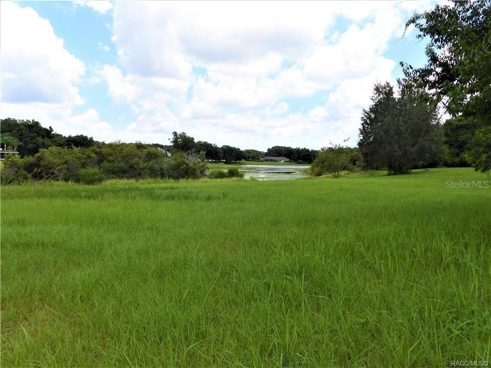 待售: $79,999 (1.18 acres)