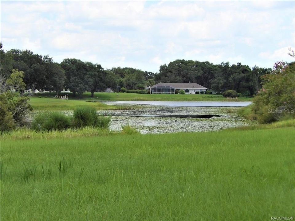 待售: $79,999 (1.18 acres)
