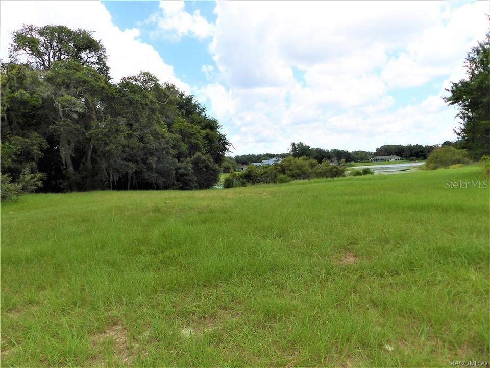 待售: $79,999 (1.18 acres)