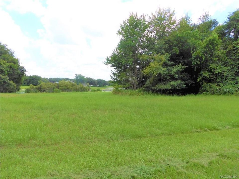 待售: $79,999 (1.18 acres)