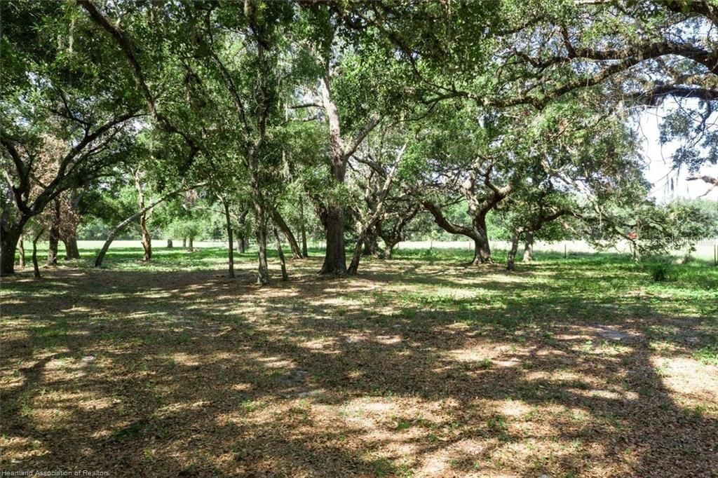 For Sale: $1,499,000 (50.00 acres)