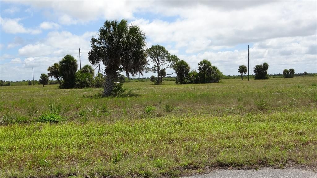 For Sale: $17,500 (0.41 acres)