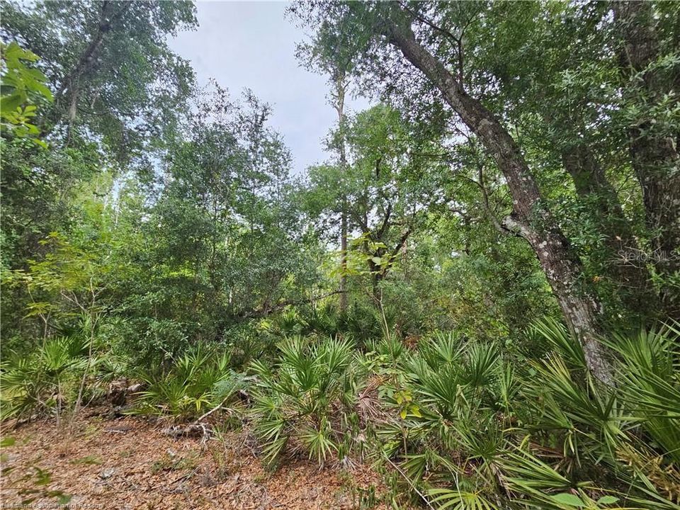 For Sale: $895,000 (82.51 acres)