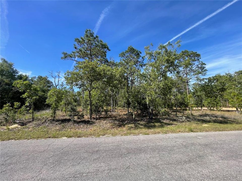 На продажу: $15,500 (0.23 acres)