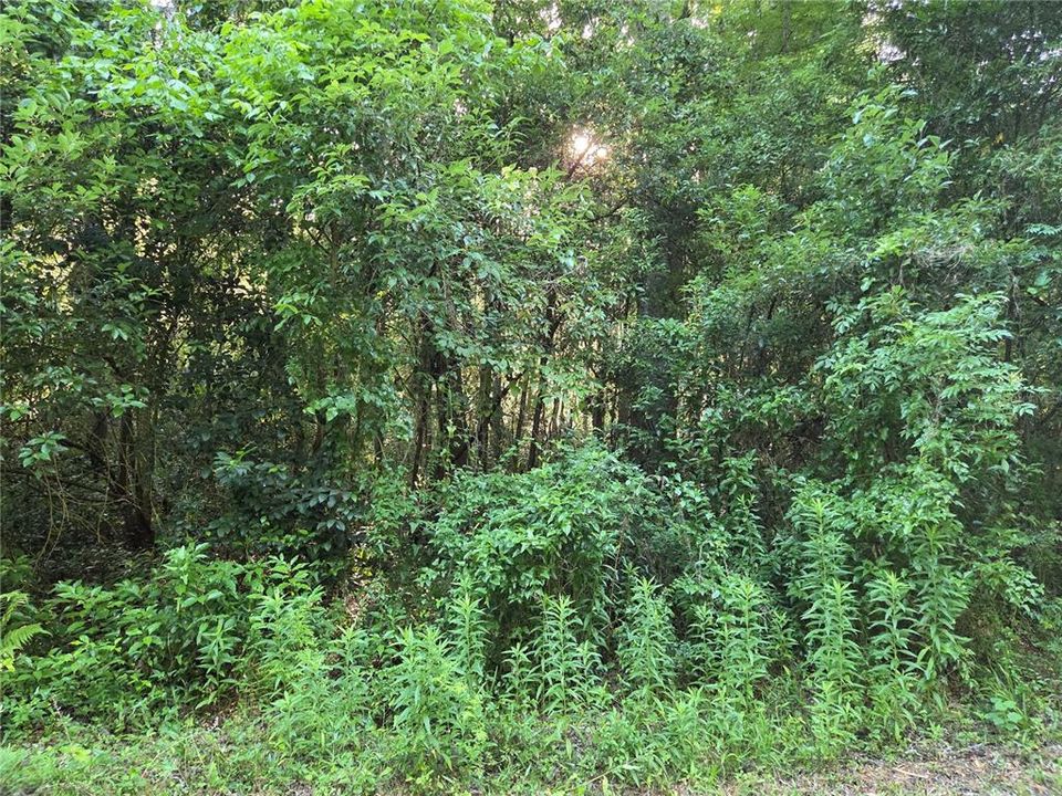 En Venta: $150,000 (1.48 acres)