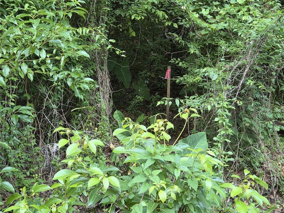 En Venta: $150,000 (1.48 acres)