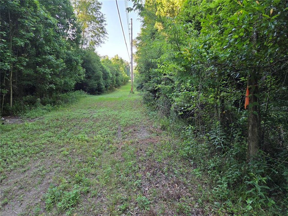 En Venta: $150,000 (1.48 acres)