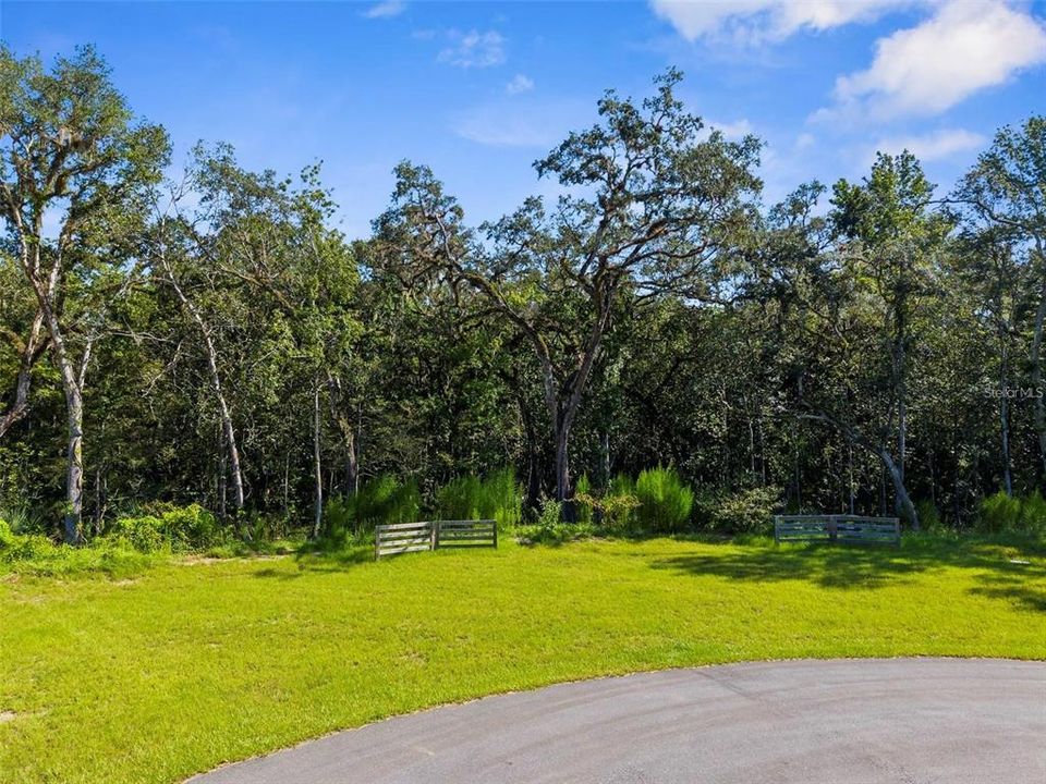 For Sale: $189,000 (5.20 acres)