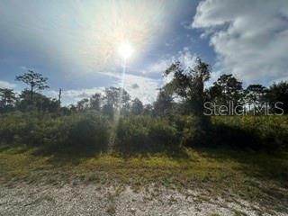 For Sale: $45,000 (1.05 acres)