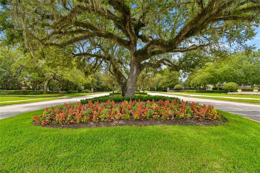 For Sale: $875,000 (6 beds, 3 baths, 3492 Square Feet)