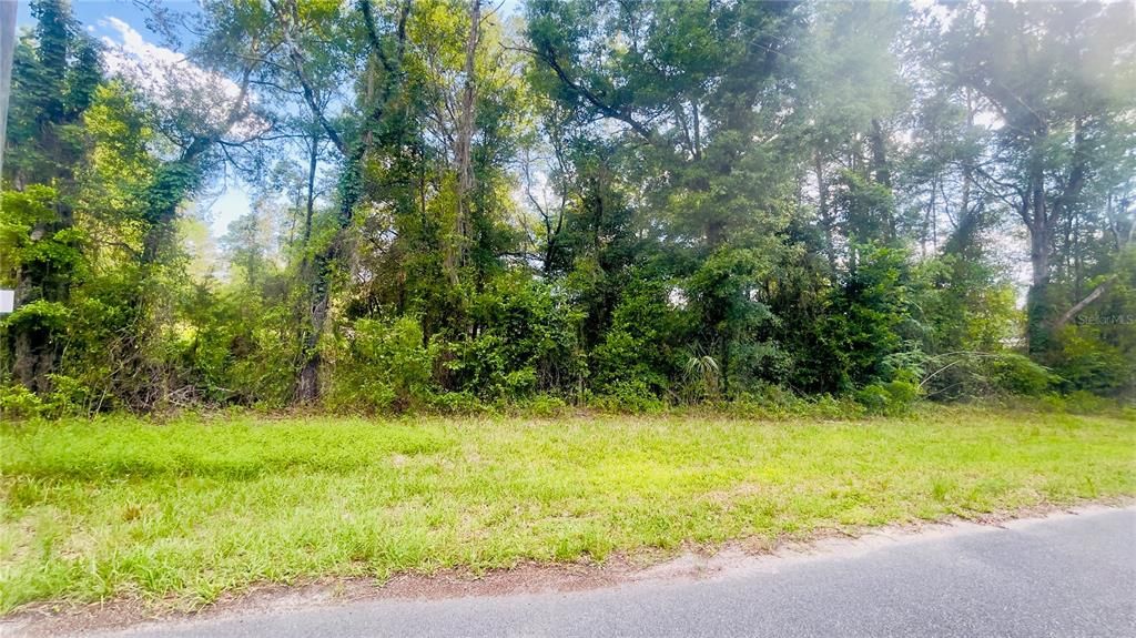 For Sale: $12,000 (0.34 acres)