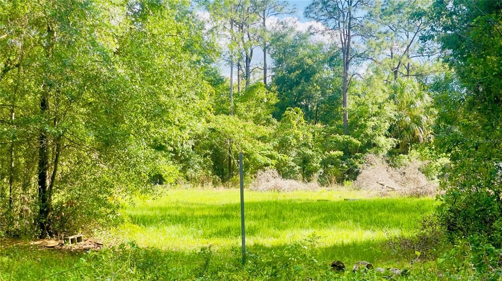 For Sale: $12,000 (0.34 acres)