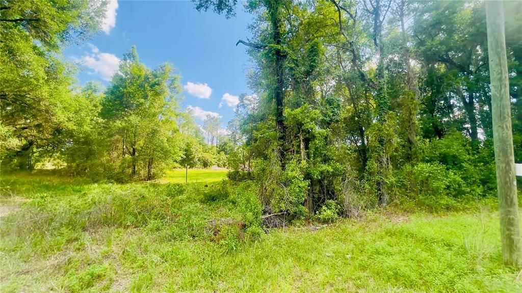 For Sale: $12,000 (0.34 acres)
