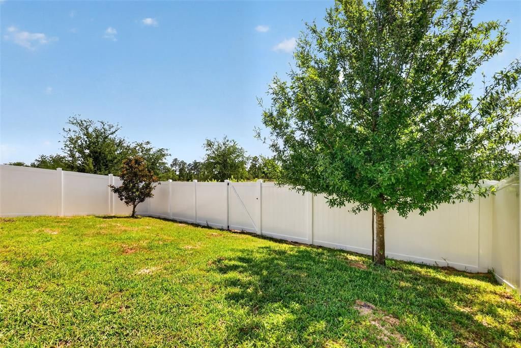 For Rent: $2,600 (3 beds, 2 baths, 1502 Square Feet)