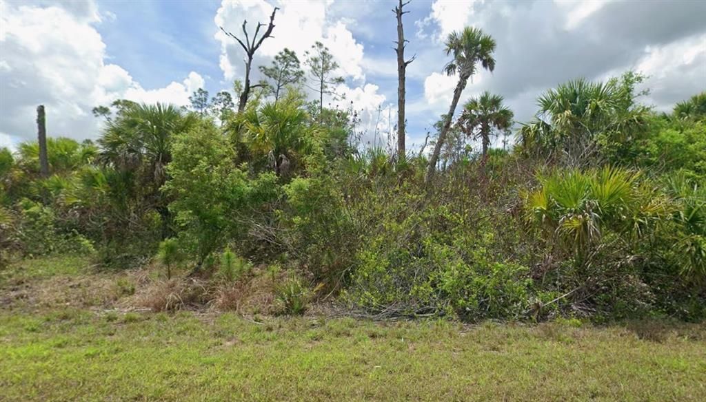 For Sale: $10,000 (0.24 acres)