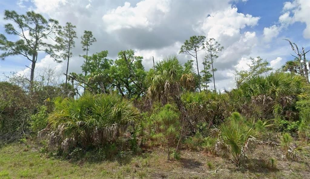 For Sale: $10,000 (0.24 acres)