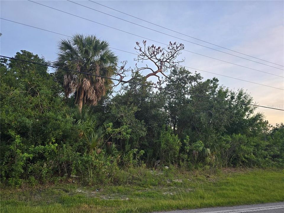 En Venta: $135,000 (1.57 acres)