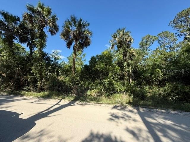 待售: $189,000 (4.71 acres)