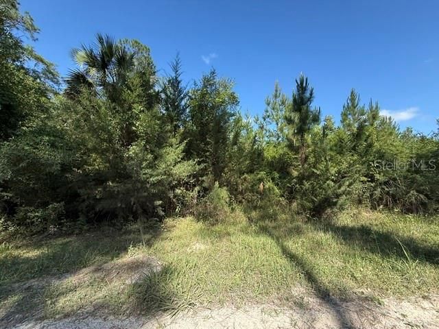 待售: $189,000 (4.71 acres)