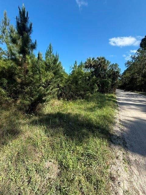 待售: $189,000 (4.71 acres)