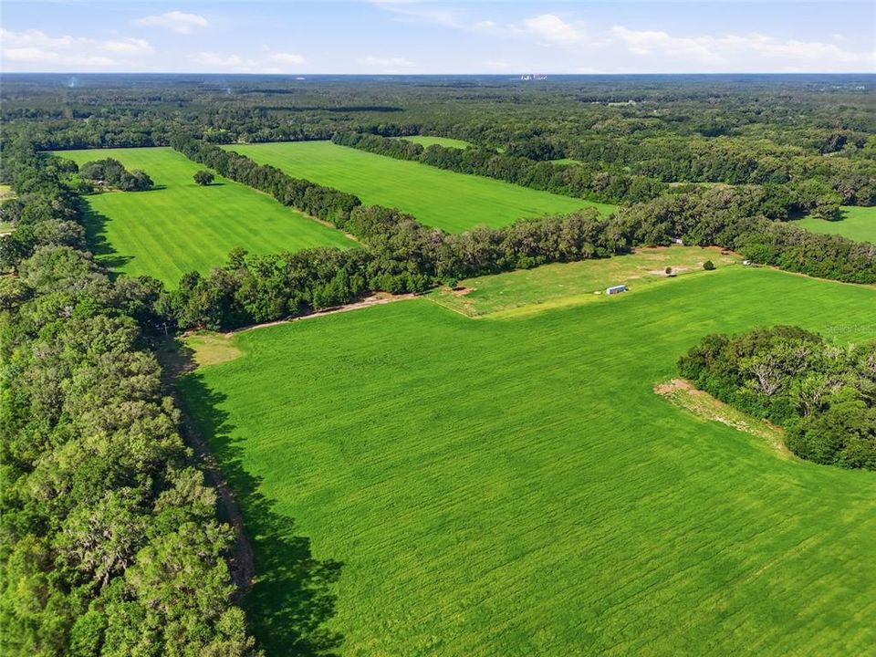 For Sale: $215,000 (7.69 acres)