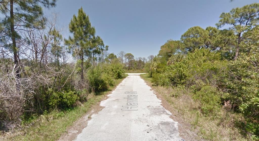 For Sale: $14,900 (0.23 acres)