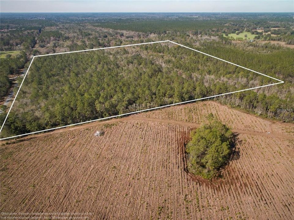 For Sale: $324,900 (40.00 acres)