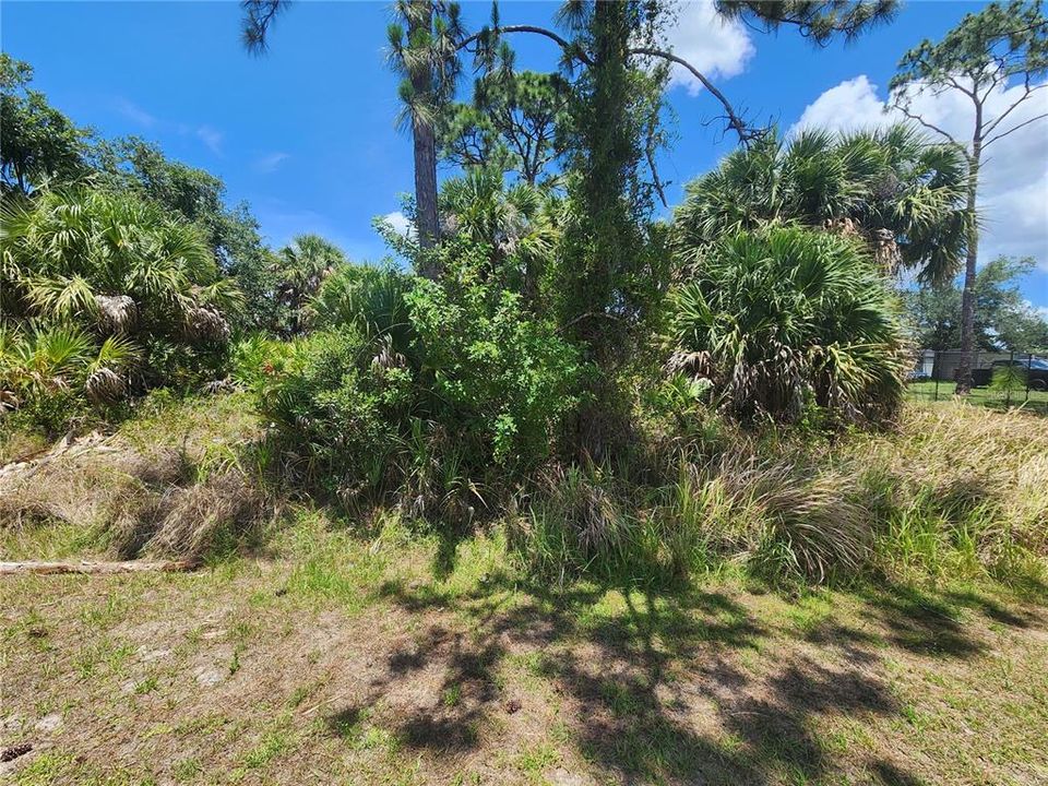 Под контрактом: $17,000 (0.23 acres)