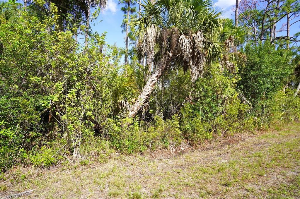 En Venta: $13,500 (0.23 acres)