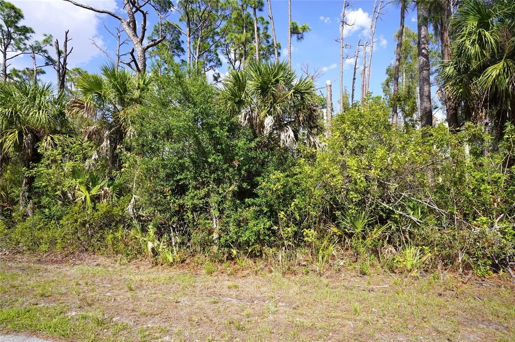 En Venta: $13,500 (0.23 acres)