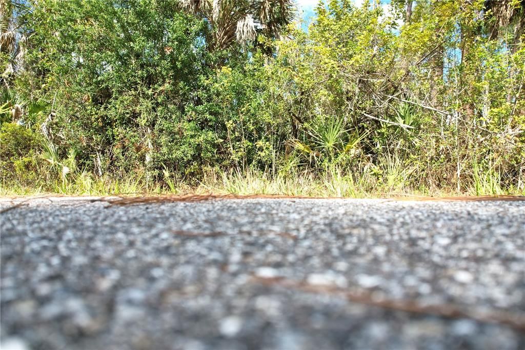 En Venta: $13,500 (0.23 acres)