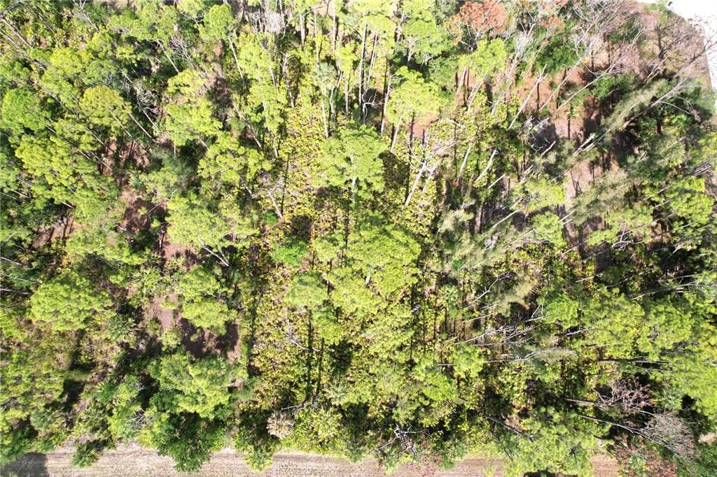 En Venta: $13,500 (0.23 acres)